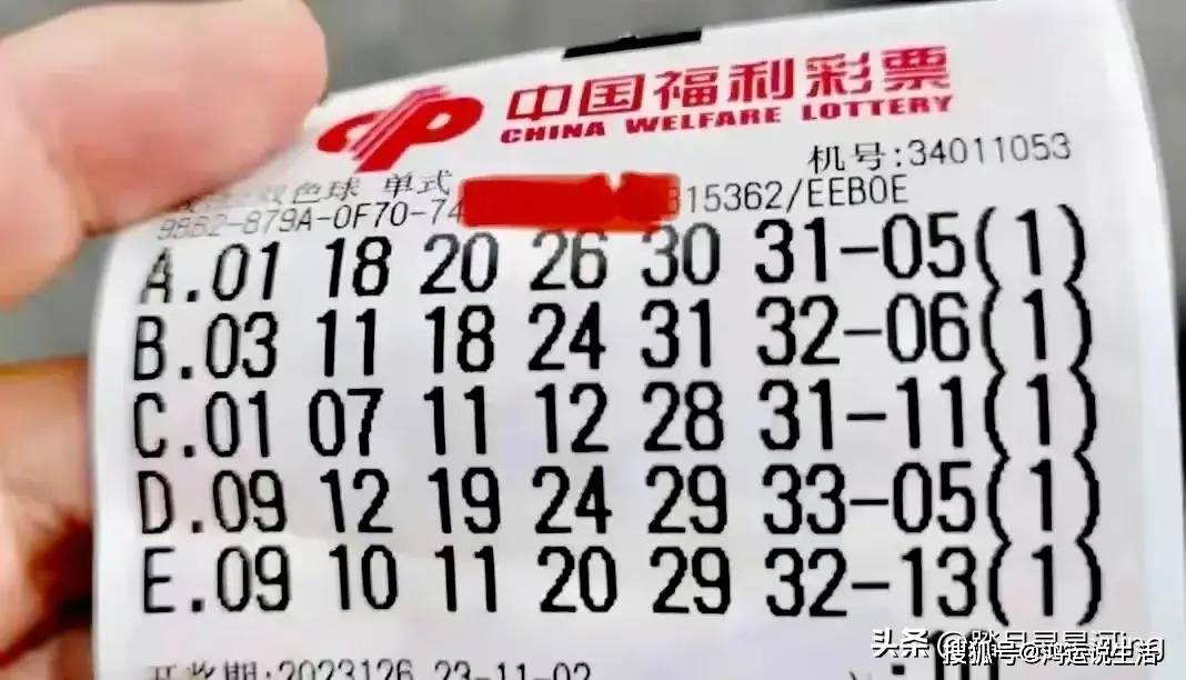白小姐一码一肖，精选解释解析与落实策略