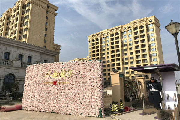 澳门资料权威解析与精选解析落实，迎接2024澳门资料免费大全时代