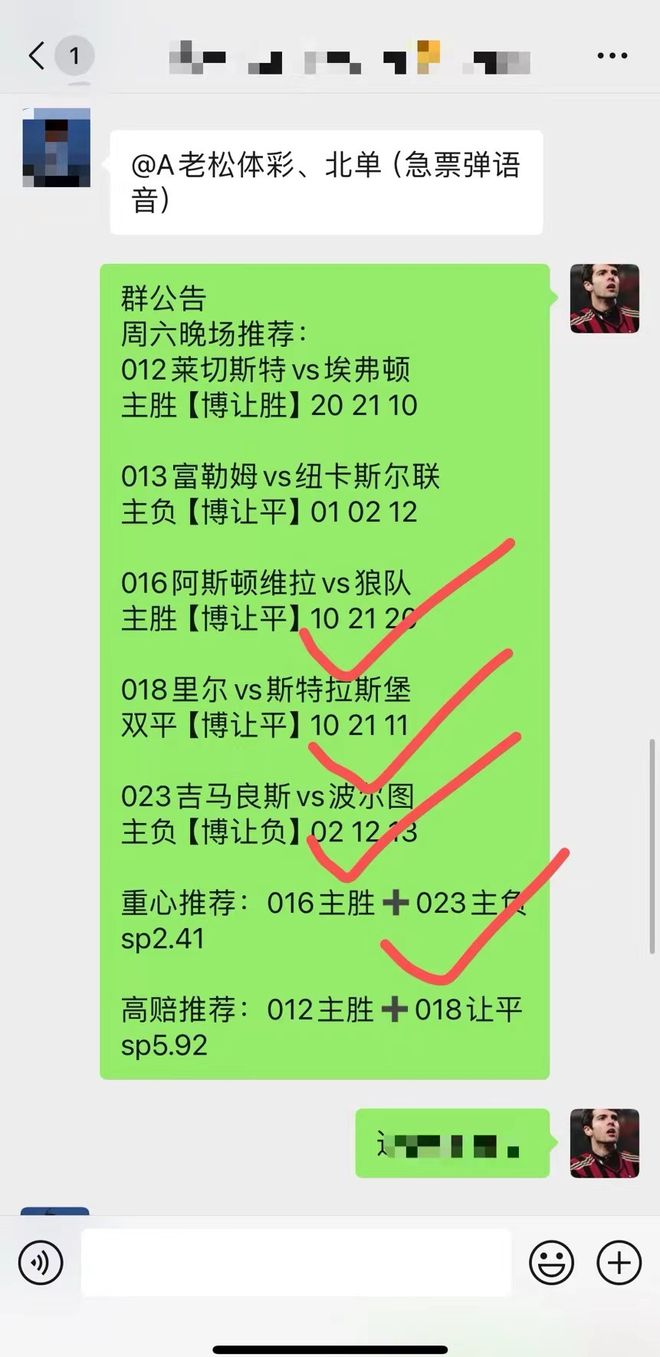 最精准的三肖三码资料解析与落实精选解析