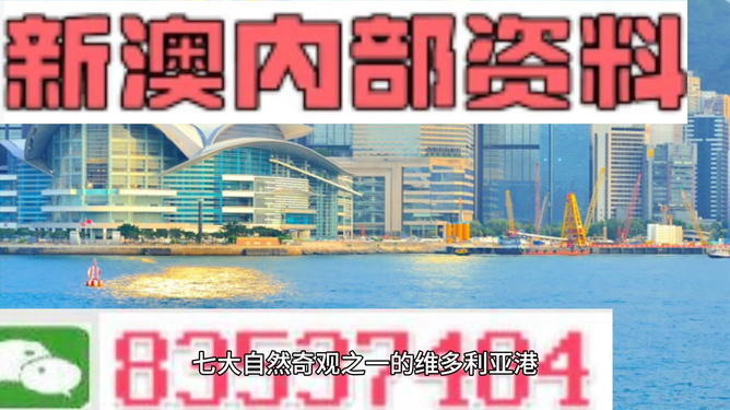 2024新澳资料大全免费精选，解析与落实之道
