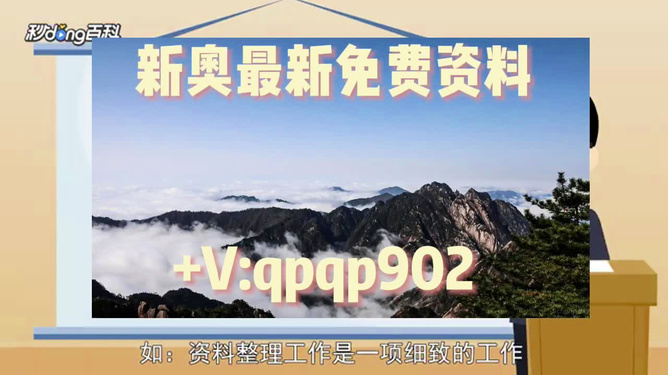 2024年新奥正版资料免费大全，精选解释解析落实详解