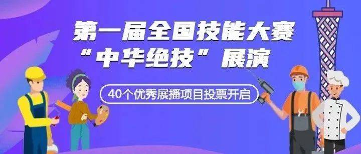 新澳门管家婆一句精选，解析与落实之道