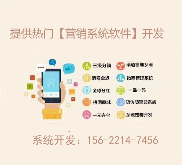 揭秘精准管家婆系统，深度解析与有效落实的关键策略