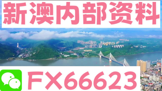 新澳精准资料免费提供，第221期精选解析与落实行动