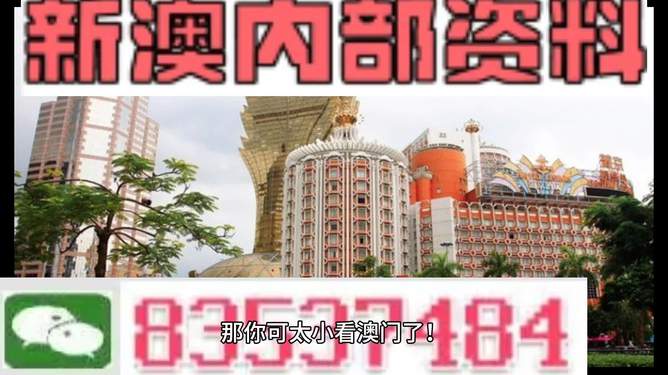 澳门4949精准免费大全与精选解释解析落实攻略