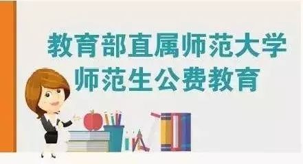 新奥门特免费资料大全198期，精选解释解析落实之道