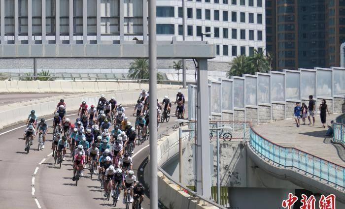 2024年香港正版内部资料解析与落实精选详解
