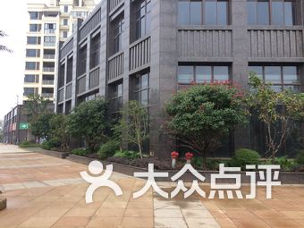 九龙帝景湾最新消息深度解析