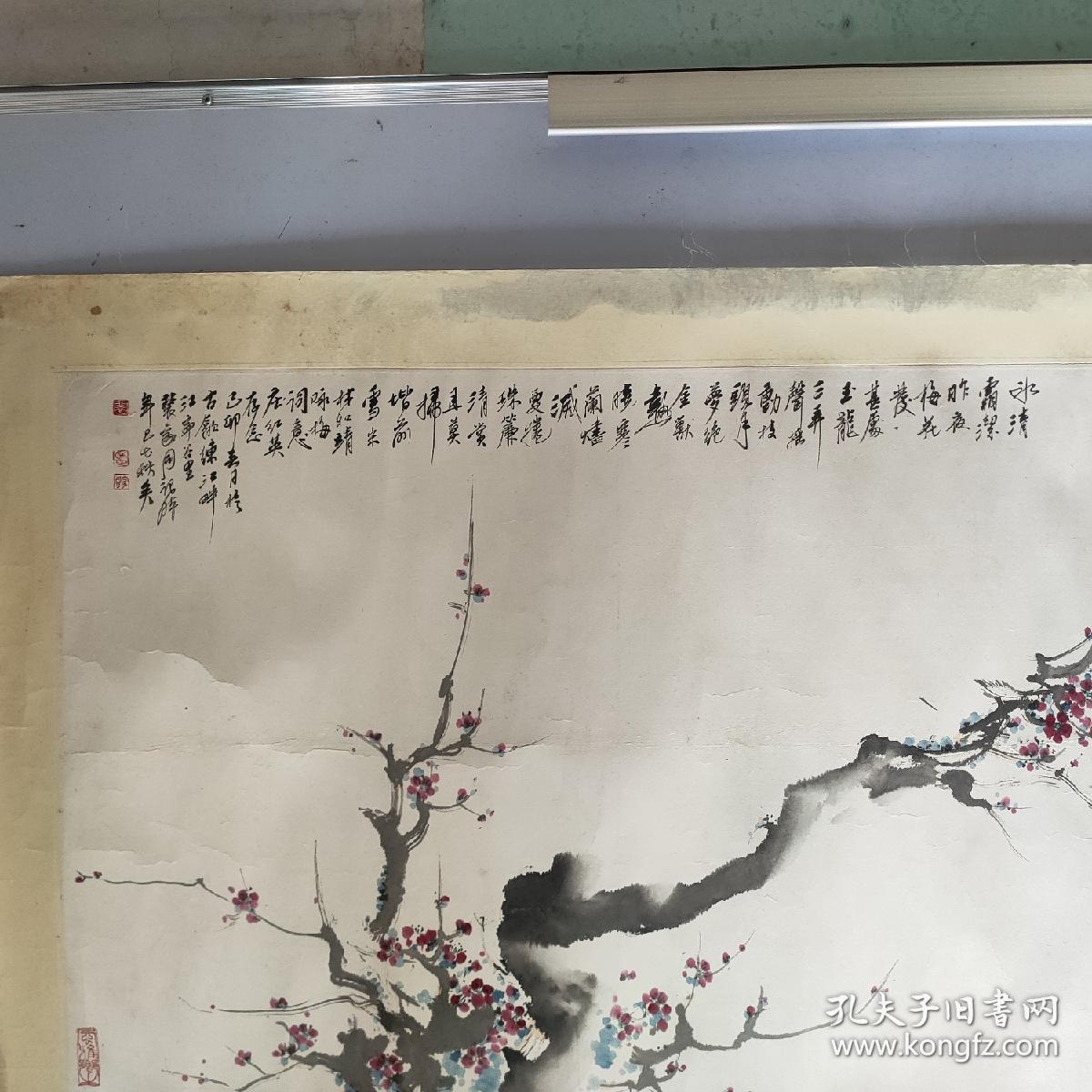 裴家同最新市场价格动态及分析