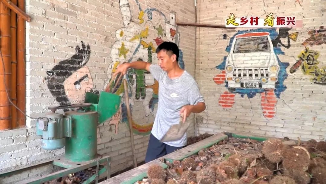 长沙市胡林辉最新消息，揭秘他的成长轨迹与最新动态