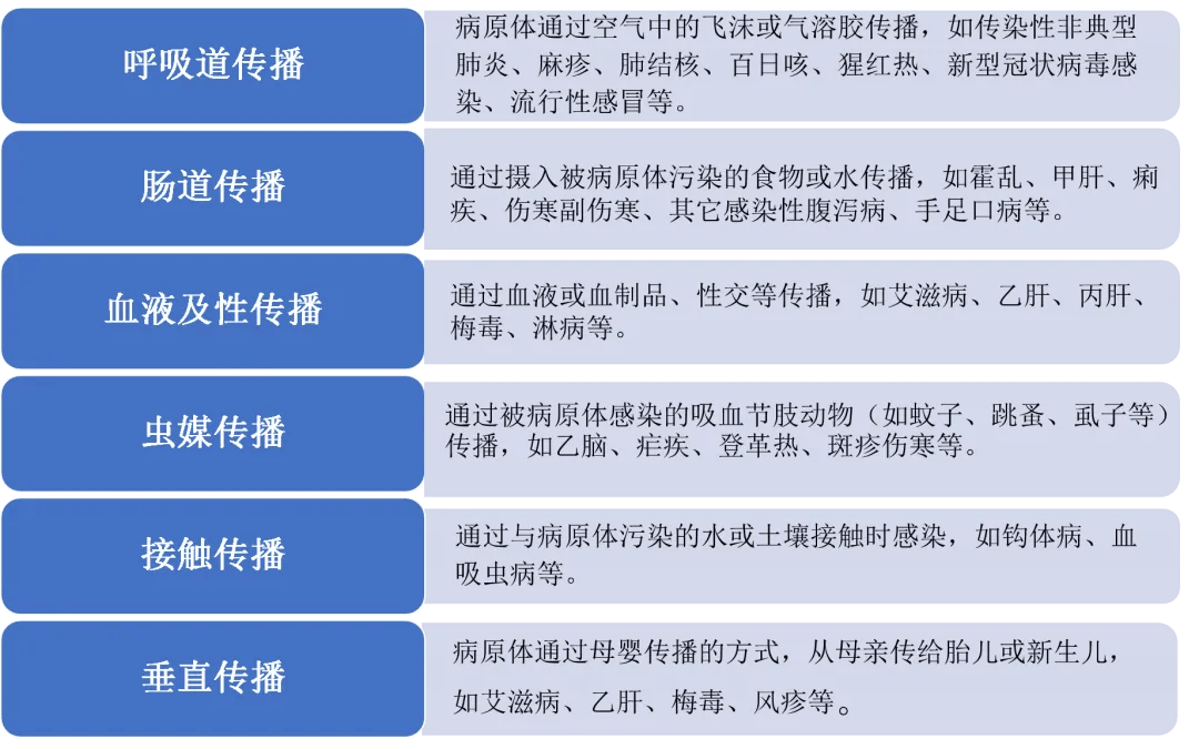 最新法定传染病分类及报告时限，全面解读与应对