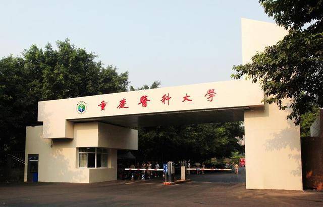广西四所合一最新消息深度解析