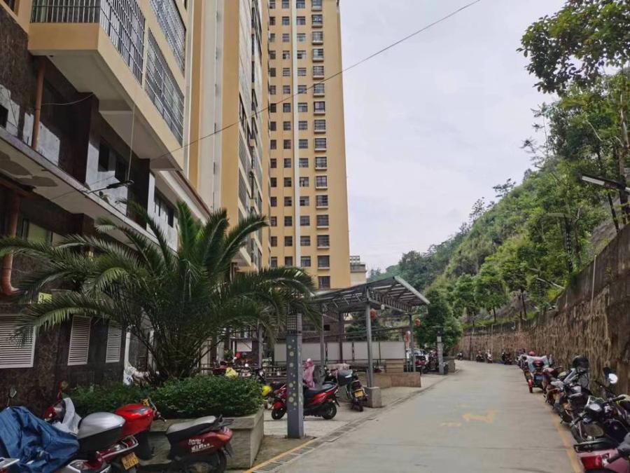 麻栗坡二手房最新消息全面解析