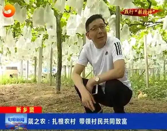 华阳会计招聘最新消息，机遇与挑战并存的专业领域招聘动态