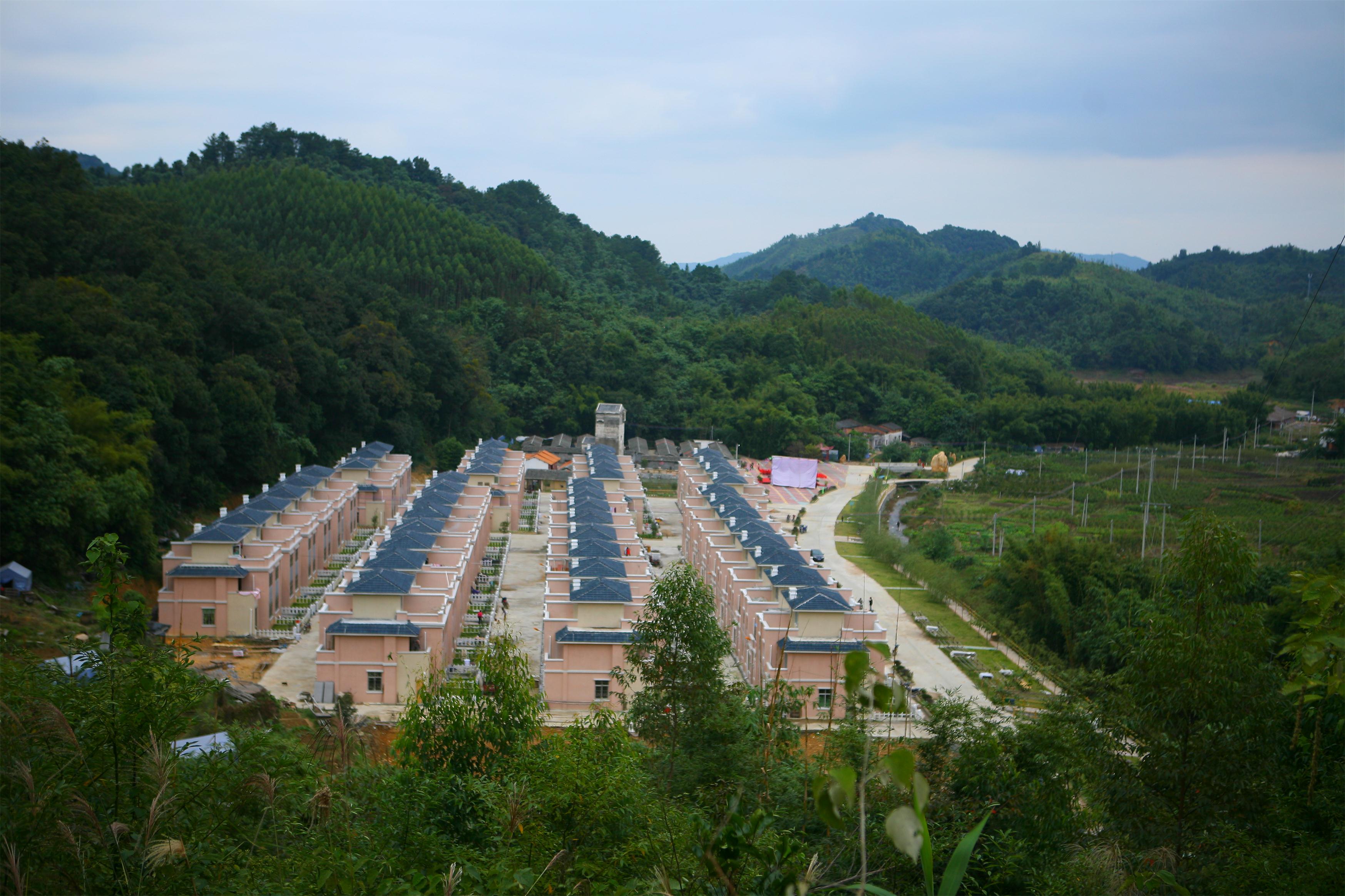中原区冯湾村最新消息，蜕变中的乡村新貌
