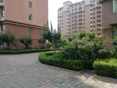 大同文博苑最新二手房市场概况