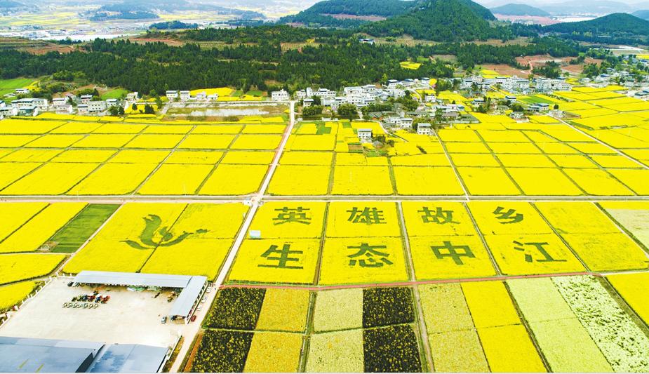 中江县最新城市规划图，塑造未来城市的蓝图