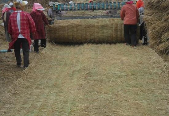 十万左右商务车，选择、特点与优势