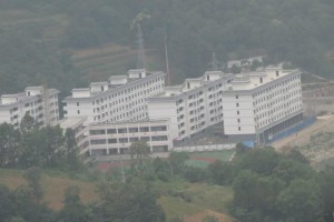 山阳县杨地镇最新消息概览