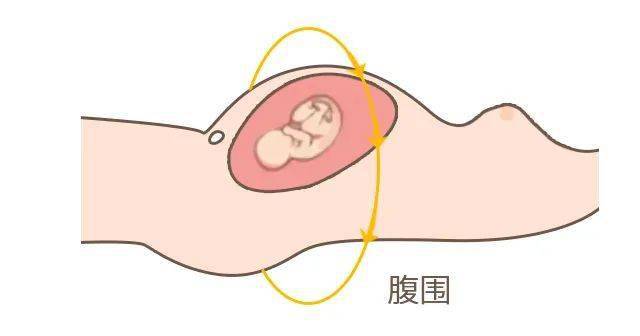 补胎动平衡，孕期健康的关键一环