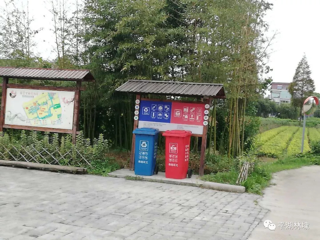 三圣乡垃圾站最新进展，环保建设的步伐与社区新面貌的塑造