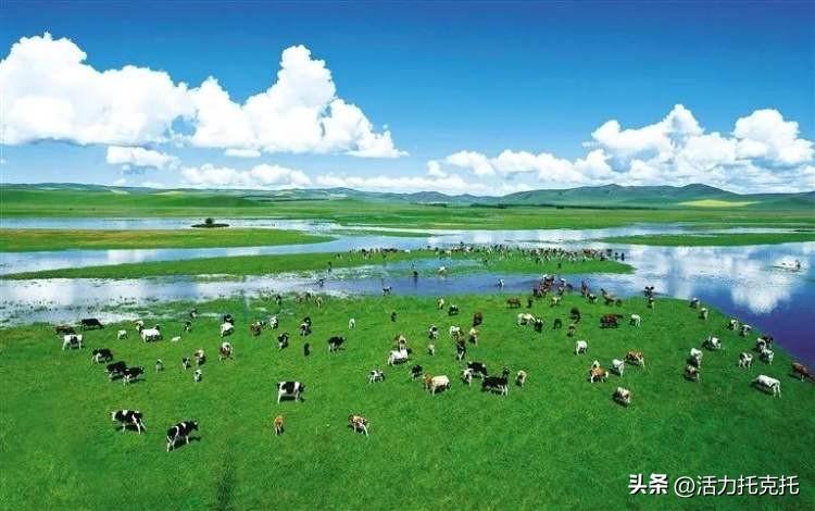 内蒙古矿业兴安能源最新招聘动态及职业发展机遇