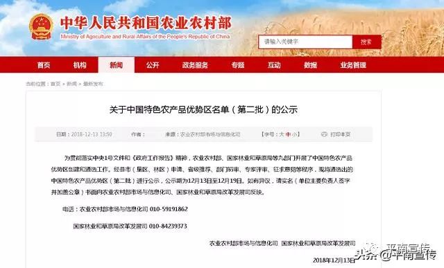 广西平南最新招聘信息概览