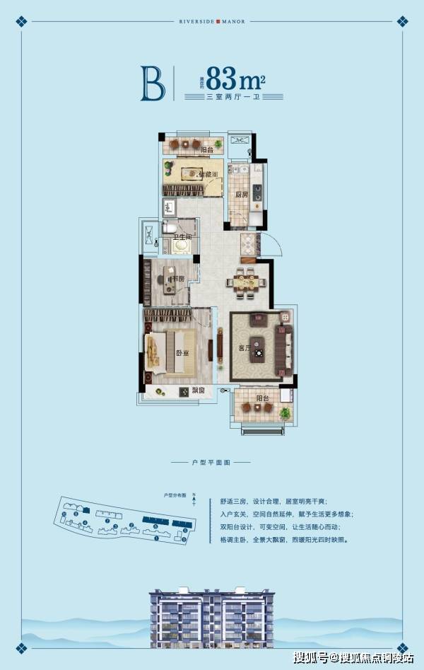 甲壳虫的价格究竟是多少？全面解析市场趋势与影响因素