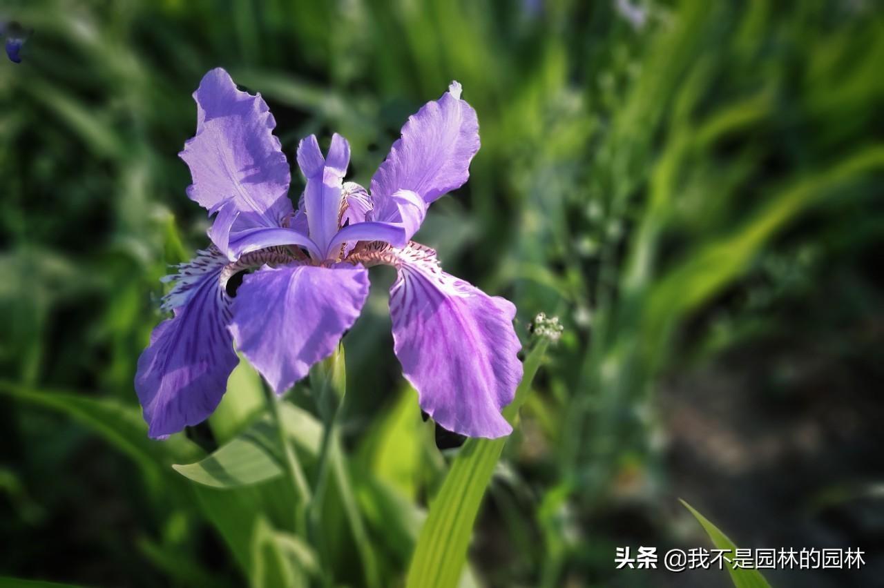 潍坊巴塞小镇最新消息深度解析