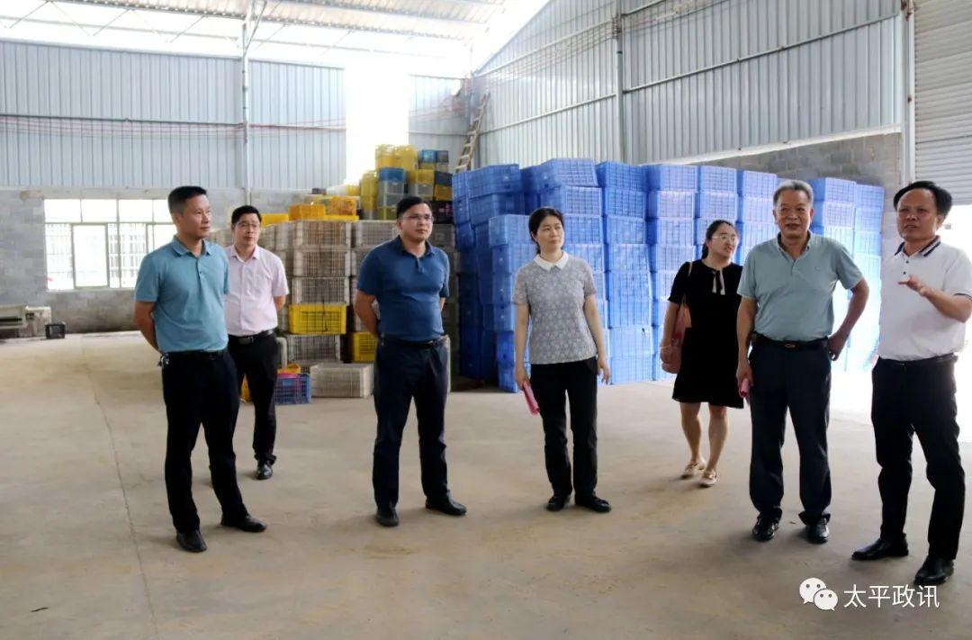 杰丰果业最新消息，引领果业新时代，迈向更高峰