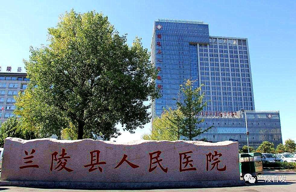 苍山县城最新招聘信息概览
