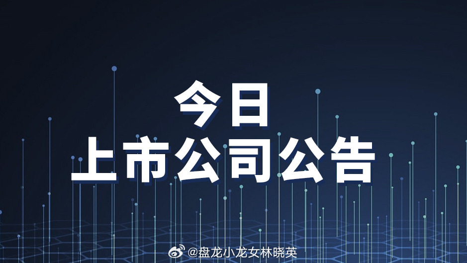 公准股份最新消息全面解析