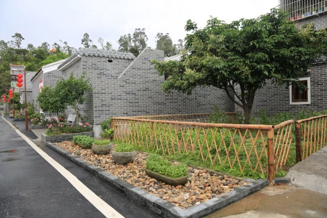 斗门五星村最新消息，发展动态与前景展望