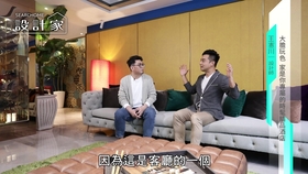 妻子的会客厅最新更新，重塑家庭与社交的核心空间