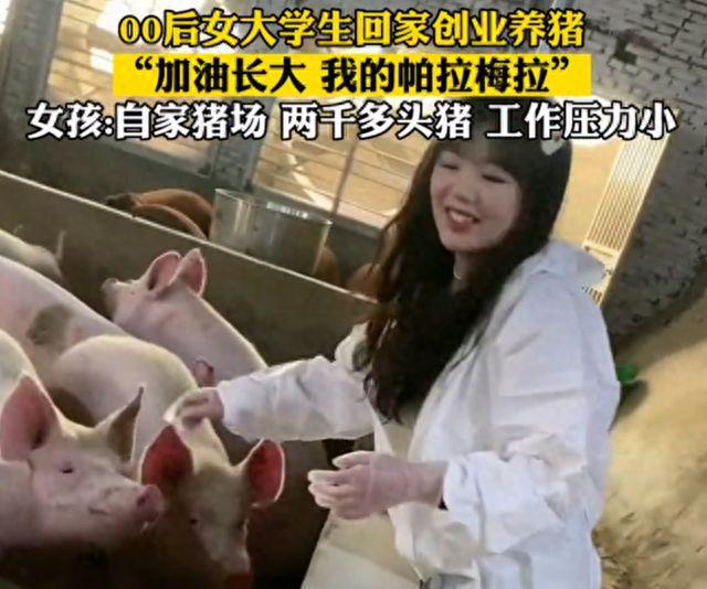 毕业后我回家养猪了最新章节，回归田园，筑梦养猪事业