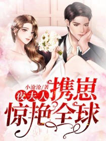 誓不为妻全球缉捕少夫人最新章节——探寻情感与命运的纠葛