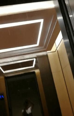 资讯 第32页