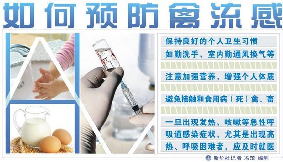 甲型H7N9最新新闻，全球密切关注，防控措施持续加强