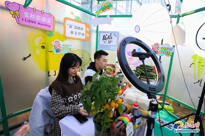 江宁区土桥最新动态，城市发展的脉搏与社区变革的脚步