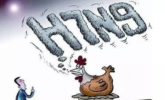 陕西省H7N9最新情况报告