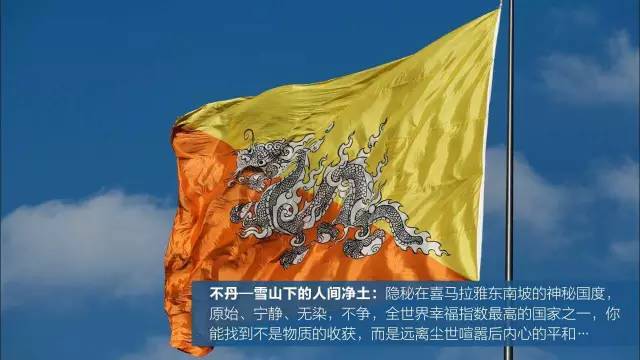 安德拉的魅力与独特之处，一个多维度的探索
