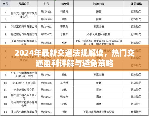 关于2024年最新交通法的深度解读