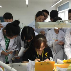 中国铁路人才网最新招聘信息概览