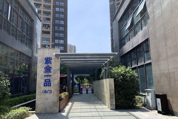 紫金一品最新房价动态及其市场影响力