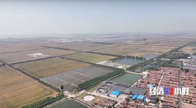 唐河县谢鸿杰最新消息，一位年轻人的奋斗与成长历程