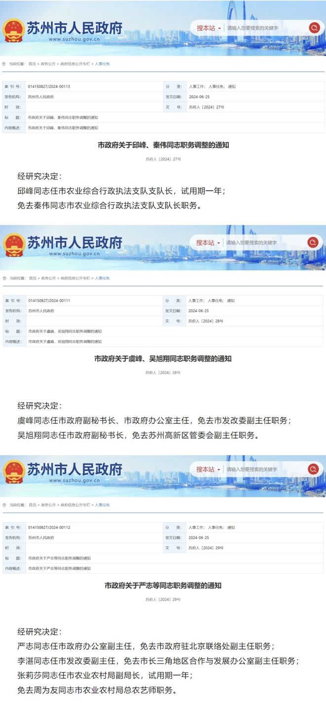 洋浦最新人事任免一览
