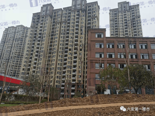 六安皋城王府最新消息全面解读