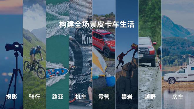 长城炮黑弹价格，深度解析与市场调研