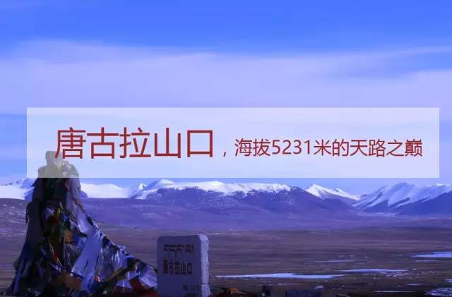 大江源著最新消息全面解读