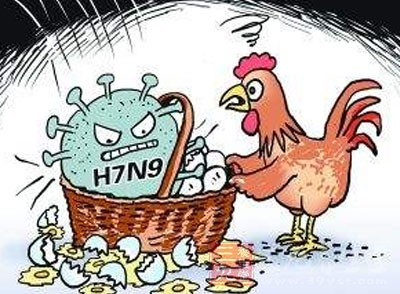 H1N9禽流感最新消息，全球防控进展与应对策略